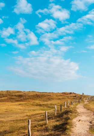 Fence in the grass next to footpath on Sylt Island