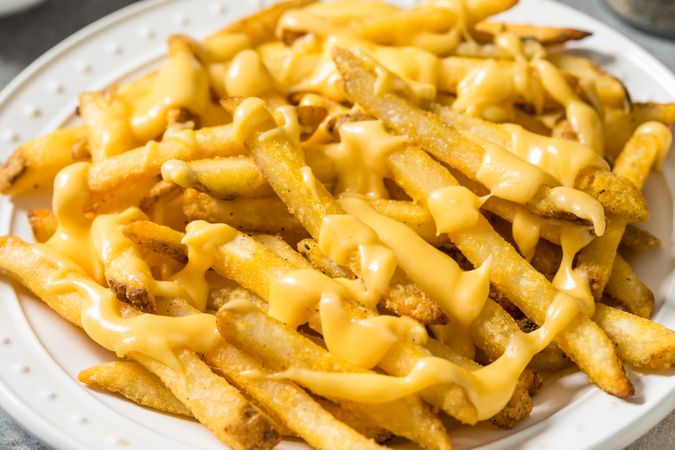 Fatty Unhealthy Cheese French Fries