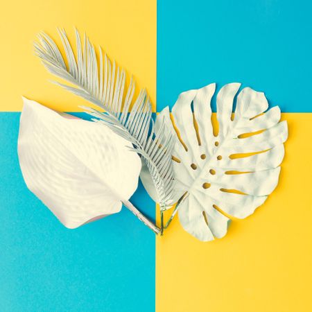 Painted tropical and palm leaves on cyan and yellow background