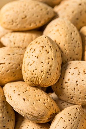 Organic Raw Almond Nuts