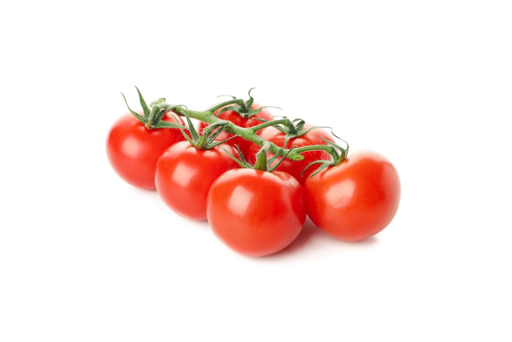 Branch of fresh tomatoes isolated on plain background