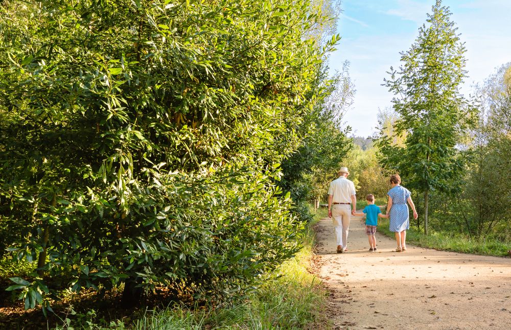 Back of grandparents and grandchild walking outdoors