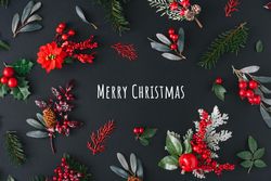 “Merry Christmas” surrounded with branches with mistletoe and pine on dark background