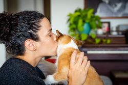 Woman kissing cute small dog