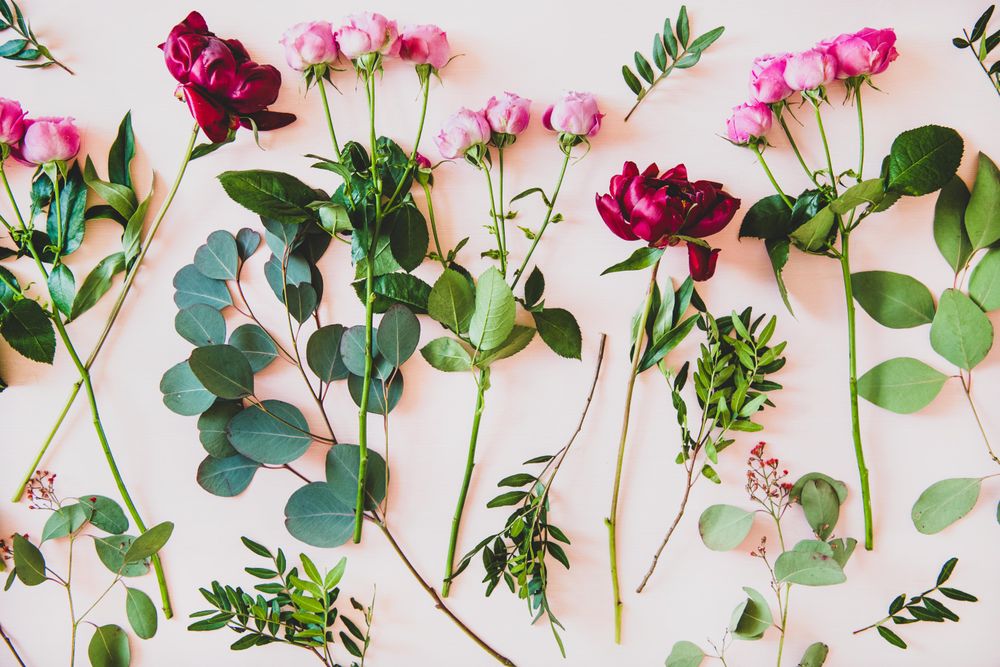 Various summer flowers flat-lay
