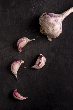 Whole garlic bulb and cloves on dark rustic background, natural food ingredient