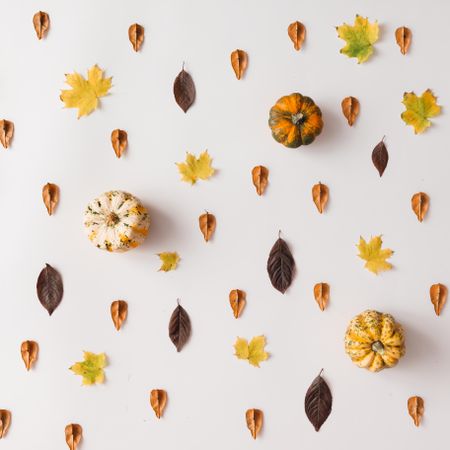 Autumn leaves pattern on light background with squash