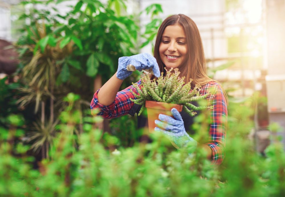 Smiling woman working with terra-cotta planter in a greenhouse