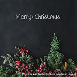 Christmas background made of branches and red berries on dark background with “Merry Christmas” 0ygnn4