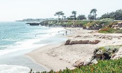 People on seashore near palms in sunny day