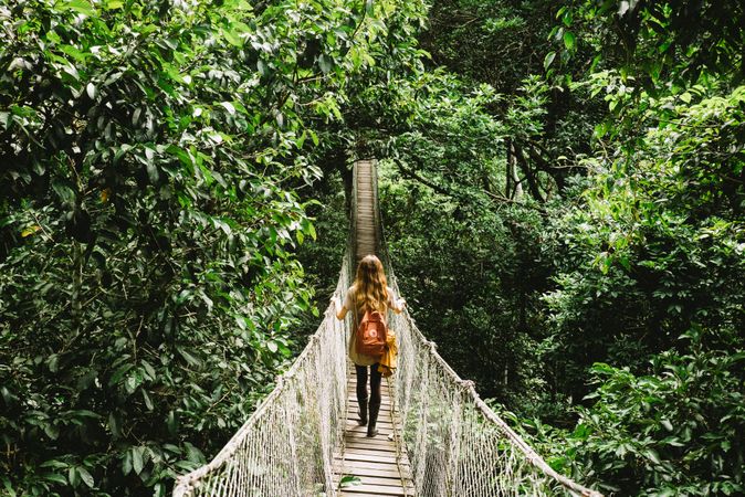 Back of woman walking on suspension bridge in forest