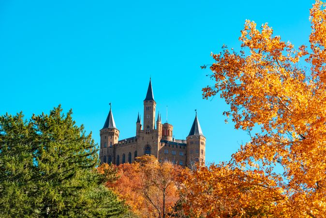Hohenzollern castle in autumn Forest on a sunny day of autumn