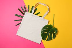 Eco bag and palm leaves on two color background, copy space