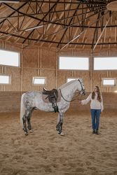 Rider with dapple gray horse in round arena