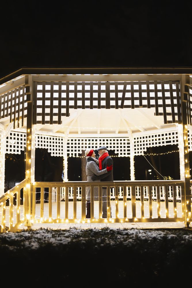 Cute mature couple embracing in a gazebo during winter, vertical
