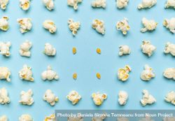 Popcorn flakes and corn kernels aligned on a blue background bDQAr0