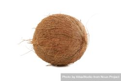 Whole coconut isolated on plain background. Tropical fruit 5pgVa8
