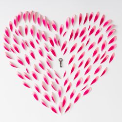 Heart made of pink flower petals with key