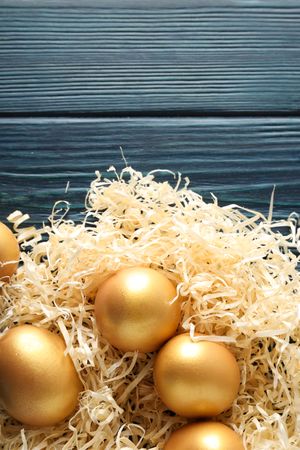 Golden eggs, pension savings, investments, retirement, space for text