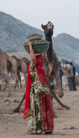 Indian woman holding a basin over her head standing at the camel trade festival in Pushkar, India