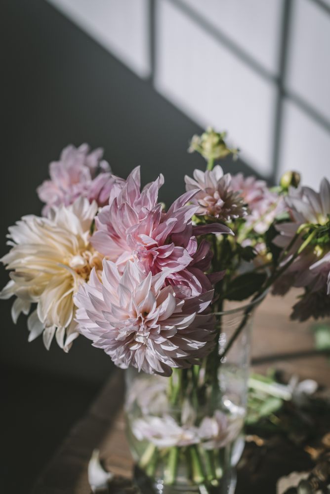 Bunches of flowers in vases on table