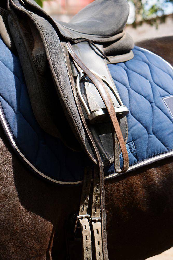 Leather saddle on a horse.