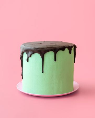 Mint cake with chocolate topping, isolated on a pink background