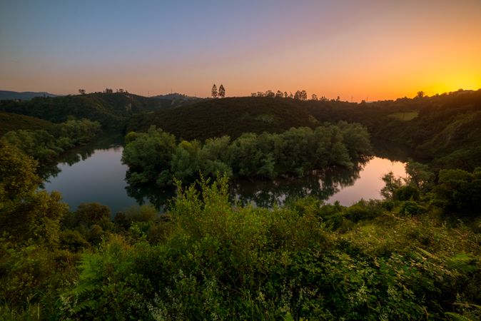 Peaceful river flowing in green nature