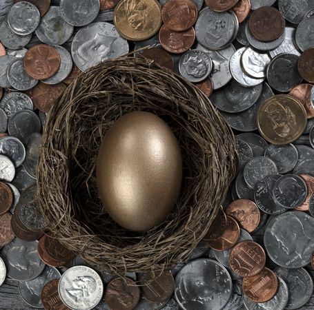 Golden egg in nest with coins