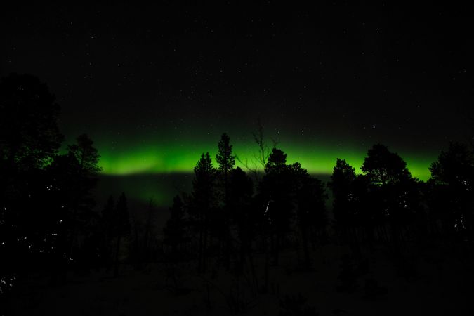 Polar lights over trees in winter countryside