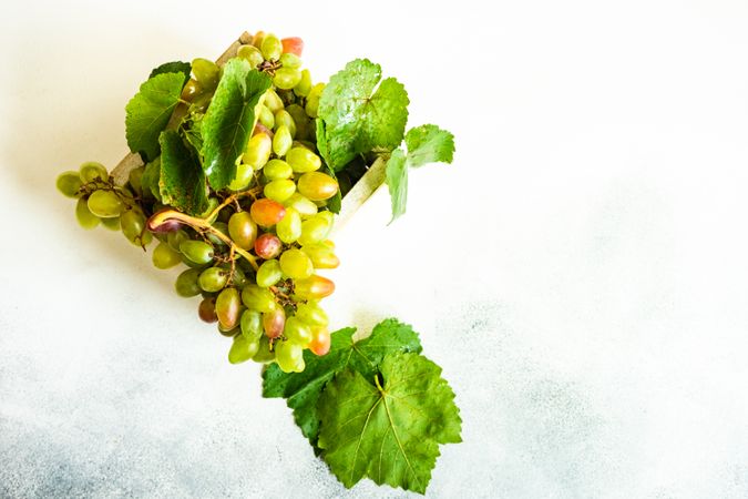 Top view of box of grapes