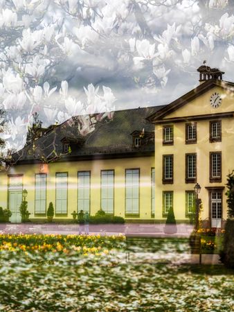 Blooming Orangerie park in Strasbourg. Magnolias, tulips, roses. Double exposure. Postcard.