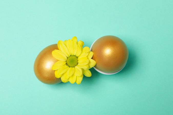 Pension rewards, returns and investment funding concepts, golden eggs