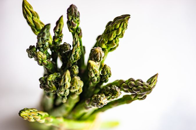 Tops of raw asparagus