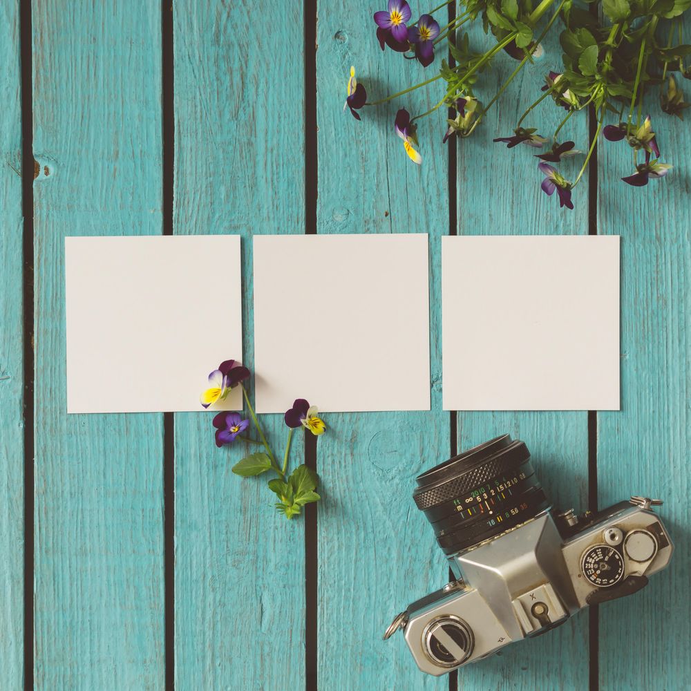 Three blank photos on wooden summer background with flowers and camera