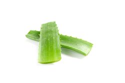 Aloe vera leaves isolated on blank background. Herbal medicine