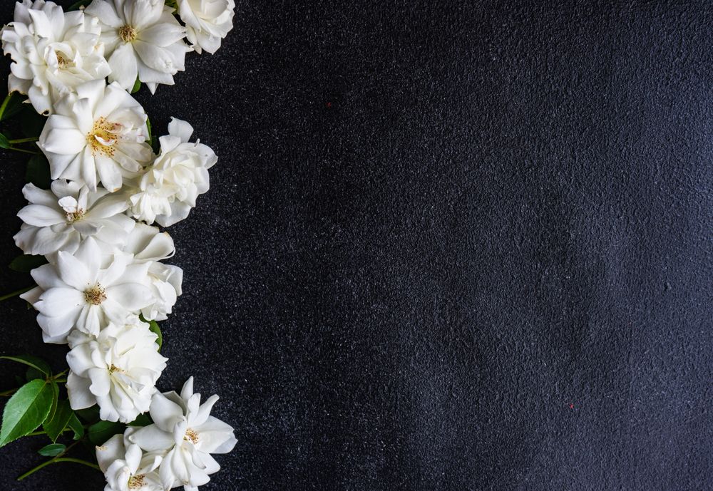 Frame with rose flowers and copy space