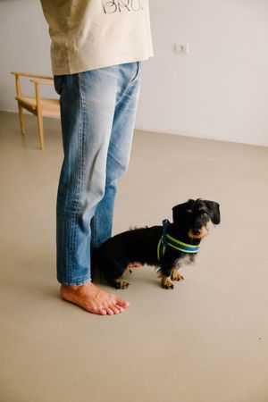 Cute dog standing at man's feet in home