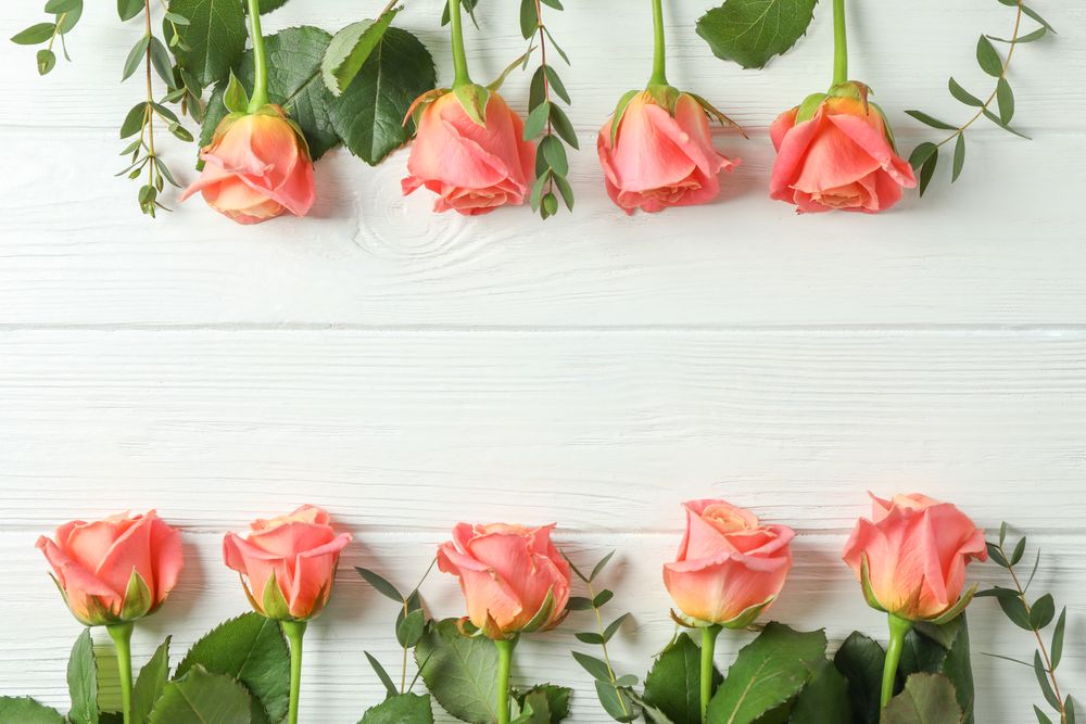 Flat lay composition with pink roses and space for text on light background
