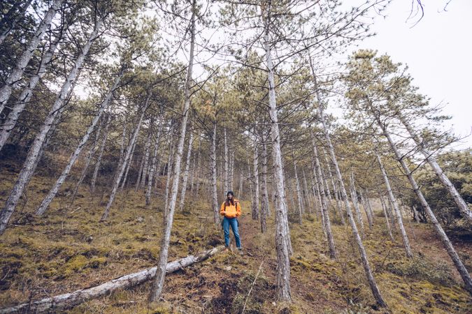 Female tourist walking along fallen tree in forest