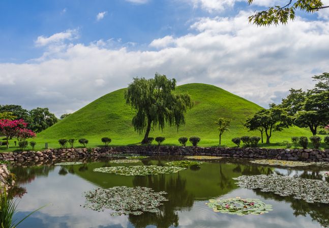 Pond with water lilies near hill