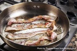 Bacon in the pan 4ZLx30
