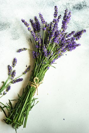 Fresh lavandula flowers in a frame on a marble counter