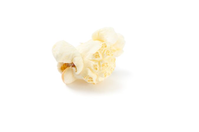 Piece of popcorn isolated on blank background, close up