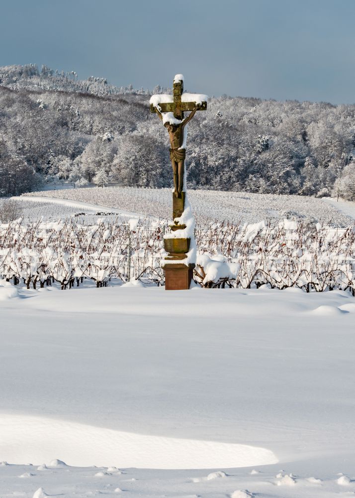 Alsace vineyards under heavy snow on a sunny winter day. Details and top view.