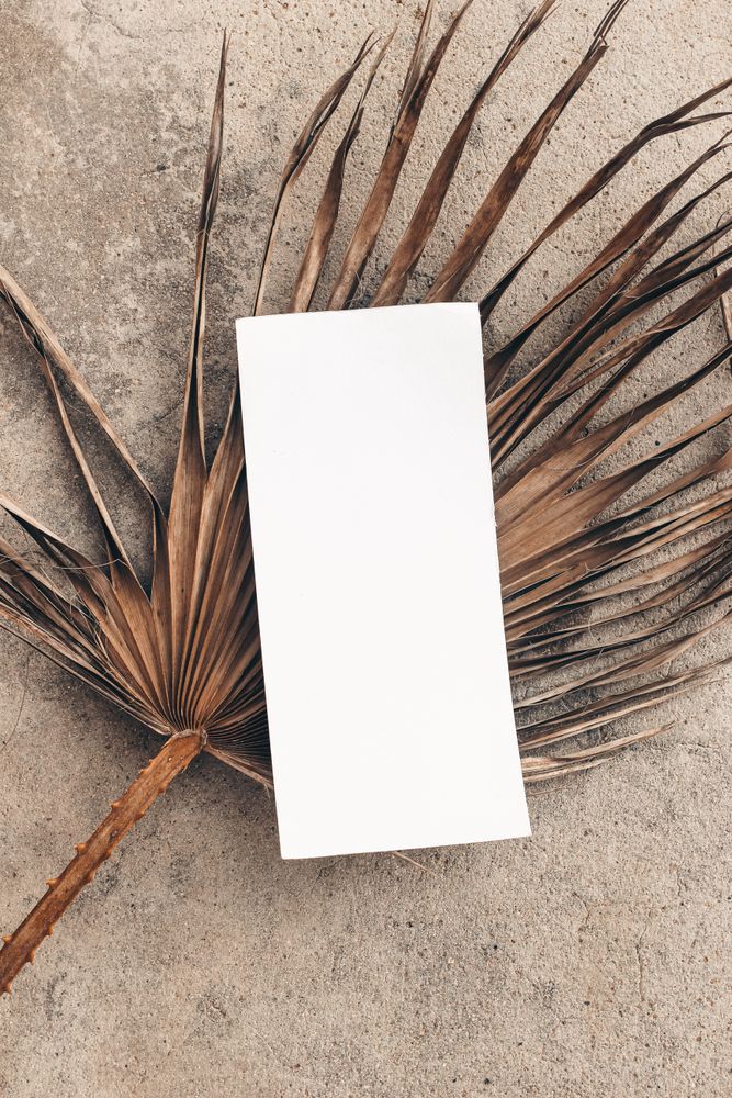 Blank card on dry palm tree leaf on concrete in sunlight