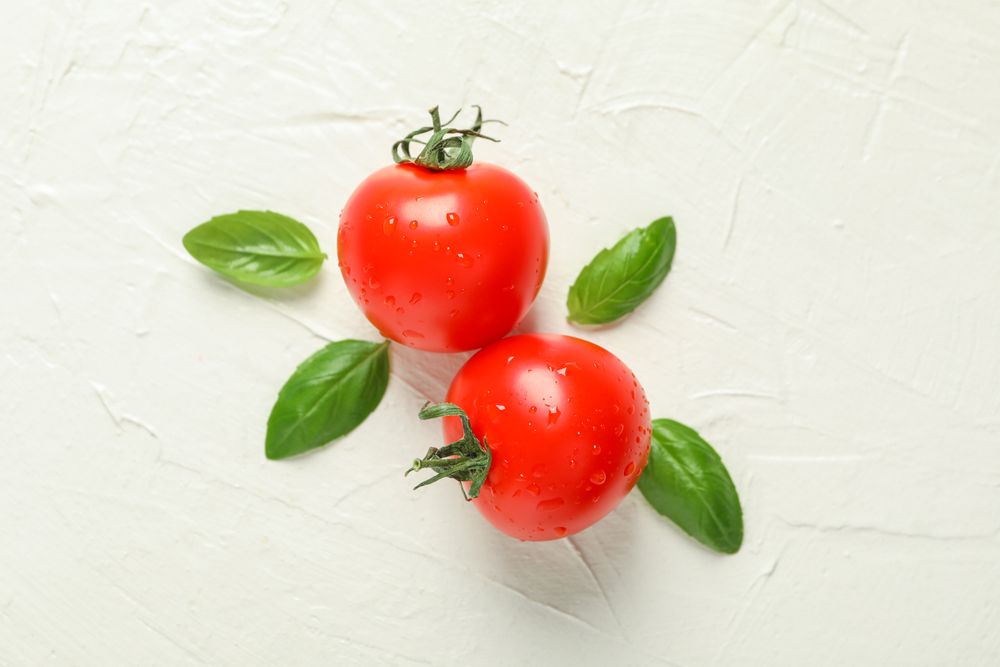 Fresh tomatoes and basil on plain background, space for text and closeup. Ripe vegetables