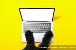 Dog at laptop with mockup screen 4AaRz4