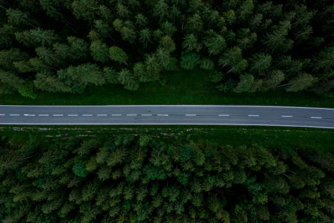 Aerial image with a road passing through pine woodland in Bavaria, Germany.