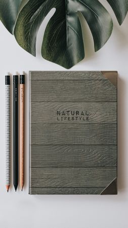 Writing accessories on table and near of palm leaf
